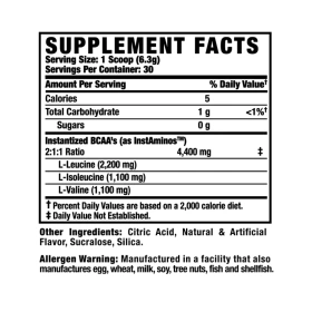 ficha nutricional bcaa 30 servicios ronnie coleman